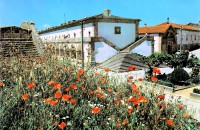 /album/galeria-de-fotos-almeida/almeida-p-jpg/
